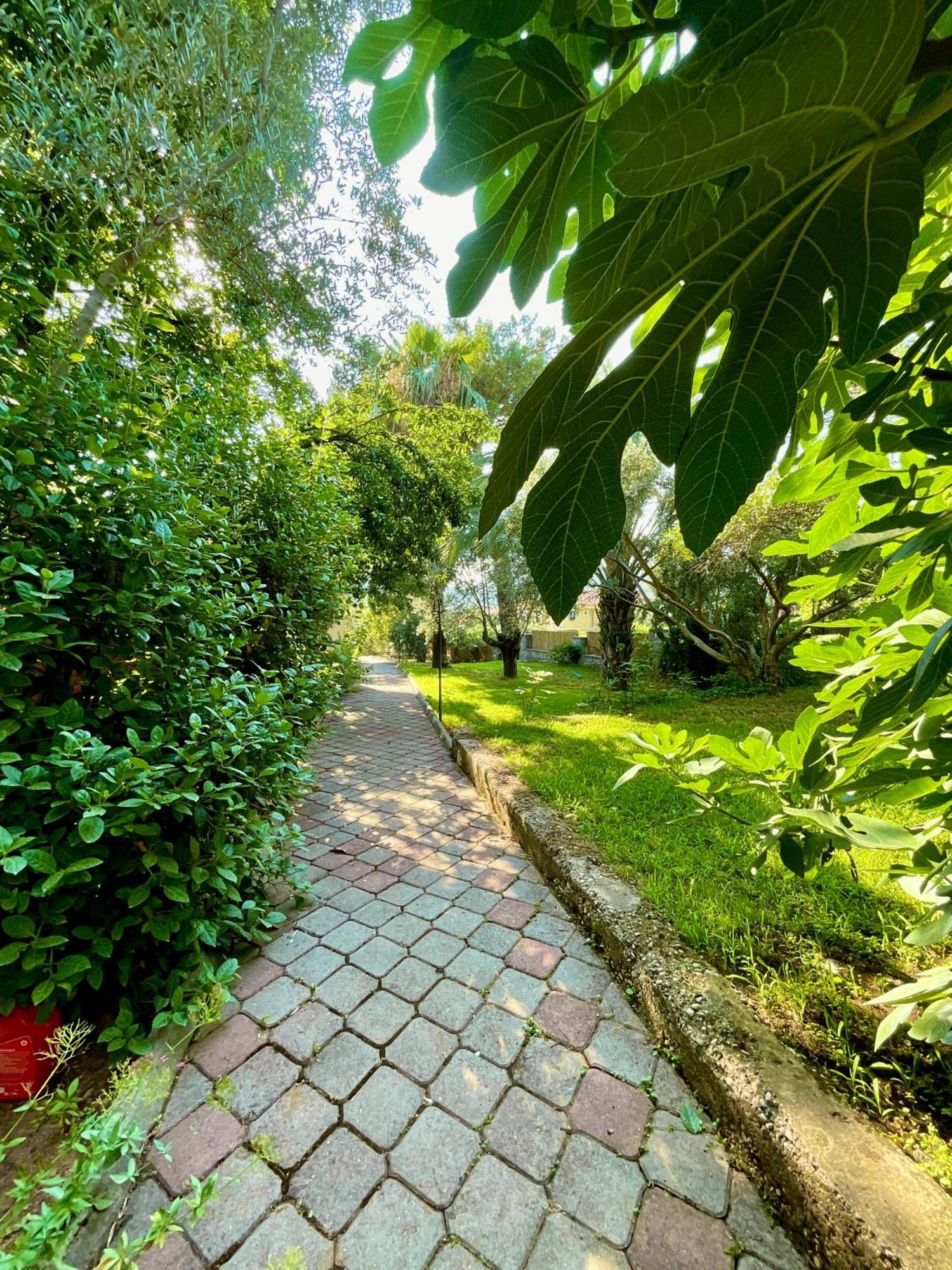 Gunes Boutique Otel Fethiye Exterior photo